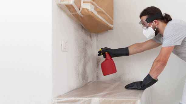 Professional Crawl Space Mold Removal technician working in Poolesville, MD